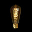 Calex LED Filamentlamp Edison Curl Gold Ø64mm E27 3.8W